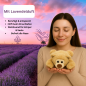 Preview: Warmies Mini Bär liegend – Lavendel Wärme Kuscheltier 23cm mikrowellenfähig