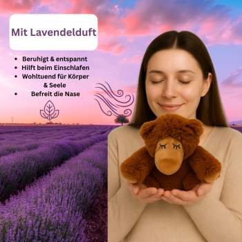 Warmies Sleepy Bär – Lavendel Wärmetier 32 cm Mikrowellenfähig Kuschelbär